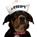 bigbutchenergee avatar