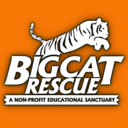 bigcatrescue avatar