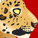 bigcatzine avatar