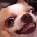 bigcheez69420 avatar