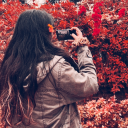 bigcinamonroll avatar