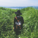 bigcitystudies avatar