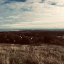 bigcocklover2045 avatar