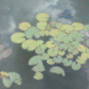 bigcupofwater avatar