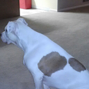 bigdee01-blog avatar