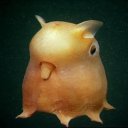 bigendian-but-like-gender avatar