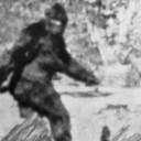 bigfootsbigtits avatar