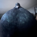 bigfreakinfrog avatar