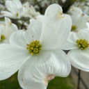 bigger-picture-darwinism avatar