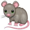 bigger-rat avatar