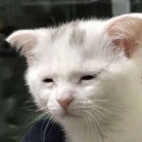 bigger-than-before avatar