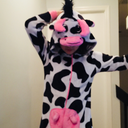 biggest-gaudiest-cow avatar