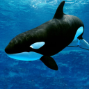 biggest-john-c-calhoun-hater avatar