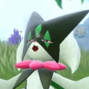 biggest-normal-meowscarada-fan avatar