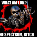 biggestback223 avatar