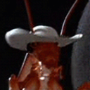 biggestbugnuts avatar