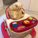 biggesth-blog avatar