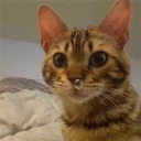 bigidiotbitch avatar