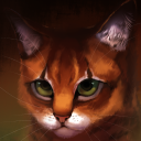 bigiswarriorcatsdesigns avatar