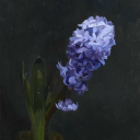 bigmackwhopper avatar