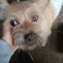 bigmagicdonut avatar