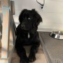 bigoceanblues avatar