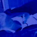 bigpappa1369-blog avatar