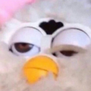 bigpastaghost avatar