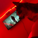 bigplans-badthoughts avatar