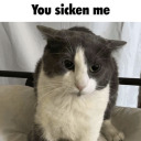 bigsadbigsleep avatar