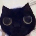 bigsaucylasagna avatar