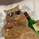 bigstarlightheart avatar