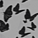 bigtittiesbigbutt-too avatar