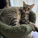 bigworld4smallperson avatar