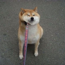 bigyuck-blog-blog avatar