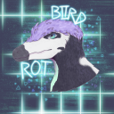 biird-rot avatar
