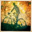 bikedanm avatar