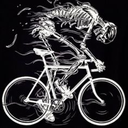 biketillthebone avatar