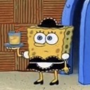 bikinibottomsfinestrabbit avatar