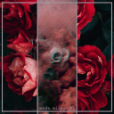 bila-jednom-ljubav-jedna avatar