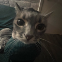 billhadersbitch avatar