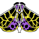 billiebaphomet avatar