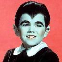 billiedraculaboy avatar