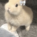 billigerglanz avatar