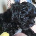 billmitchelletc avatar