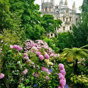 billowxbreeze avatar