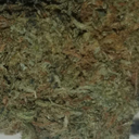 billybeerbong avatar