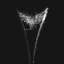 billybob12345sworld avatar