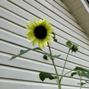 billyboo248-blog avatar