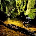 billybuckaroo avatar